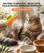 Cepillo De Vapor Mascotas Brush PET