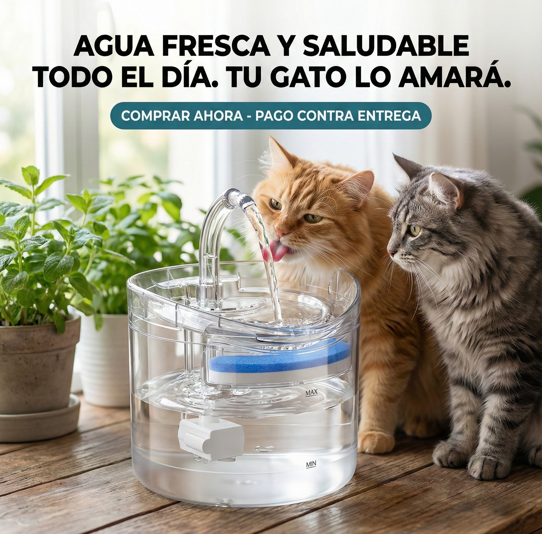 Bebedero Fuente De Agua Silencioso