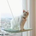 HAMACA PARA GATOS